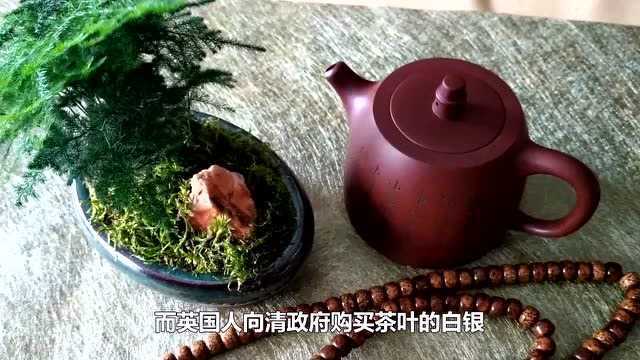 茶养道课堂:茶知识系列《8》茶叶与战争,茶叶引燃美国独立战争