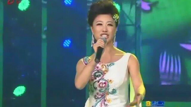 美女歌手王庆辉演唱《打开春天》,清脆嘹亮,娓娓动听