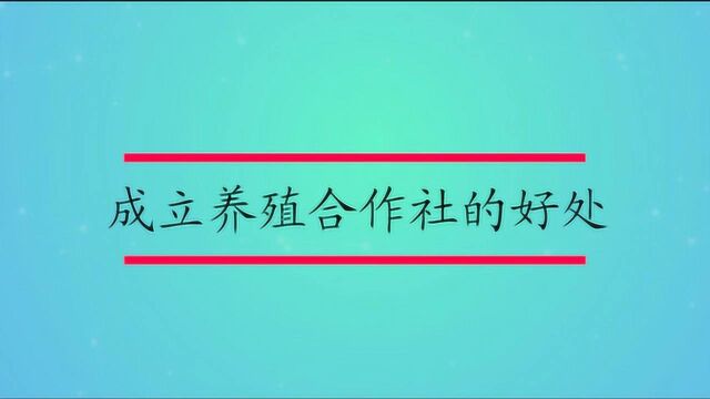 成立养殖合作社的好处