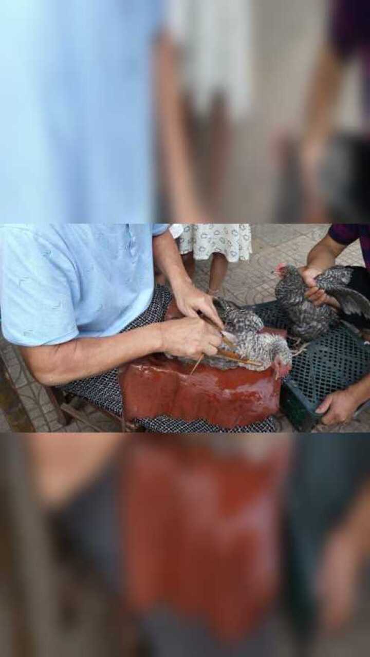 攸县集市偶遇濒临失传的技艺:阉鸡