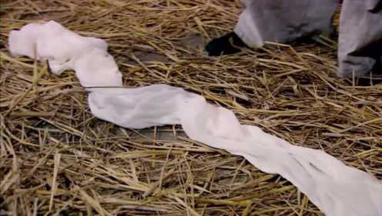 白公公带着媳妇听戏男子却在牢里拿着白绫要上吊屈打成招啊