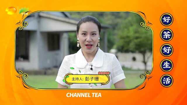 茶频道“好茶好生活”,主持人口号ID