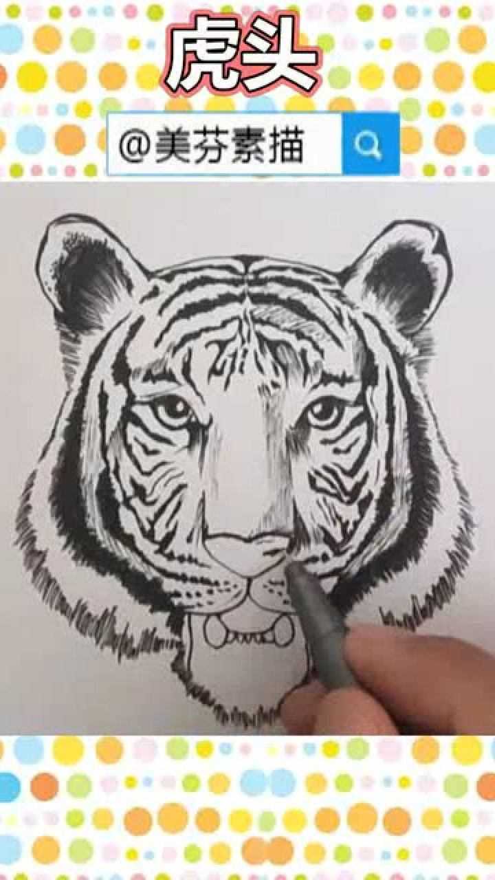 很逼真的老虎正面虎头动物速写入门教程教你画一只超霸气的老虎