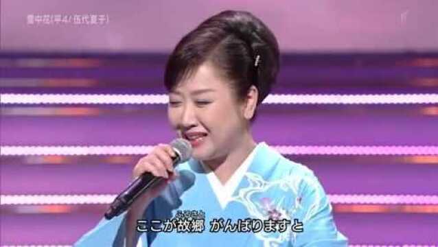 演歌:伍代夏子《雪中花》,经典歌曲