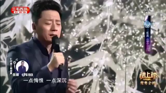 张磊演唱《寻》2018央视, 全球中文音乐榜上榜歌曲