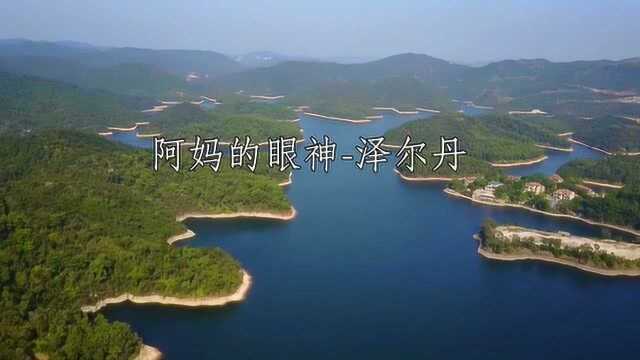 藏族歌手泽尔丹一曲《阿妈的眼神》草原风的歌曲,太美了