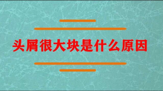 头屑很大块是什么原因呢?