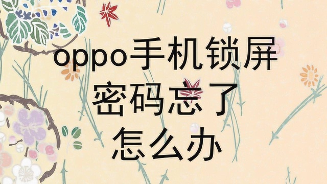 oppo手机锁屏密码忘了怎么办?