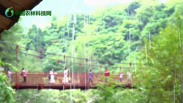 陇南成县西狭颂景区,天井山吊桥沟通天堑,惠安寺栈道曲径通幽