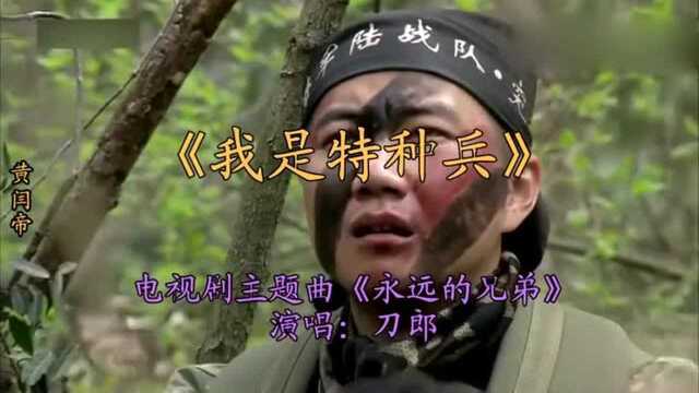 刀郎经典《永远的兄弟》《我是特种兵》主题曲超级好听