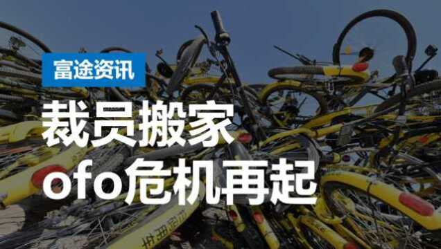 联合创始人出走、搬离中关村,ofo该如何绝地求生?