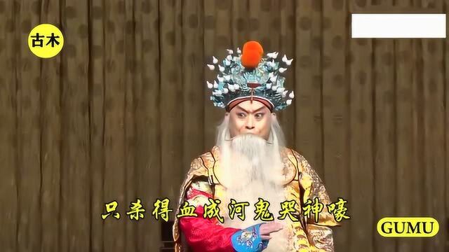 王小婵,京剧《杨家将》