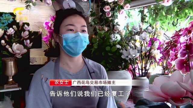 南宁:鲜花绿植治愈心情 花鸟市场生意回暖