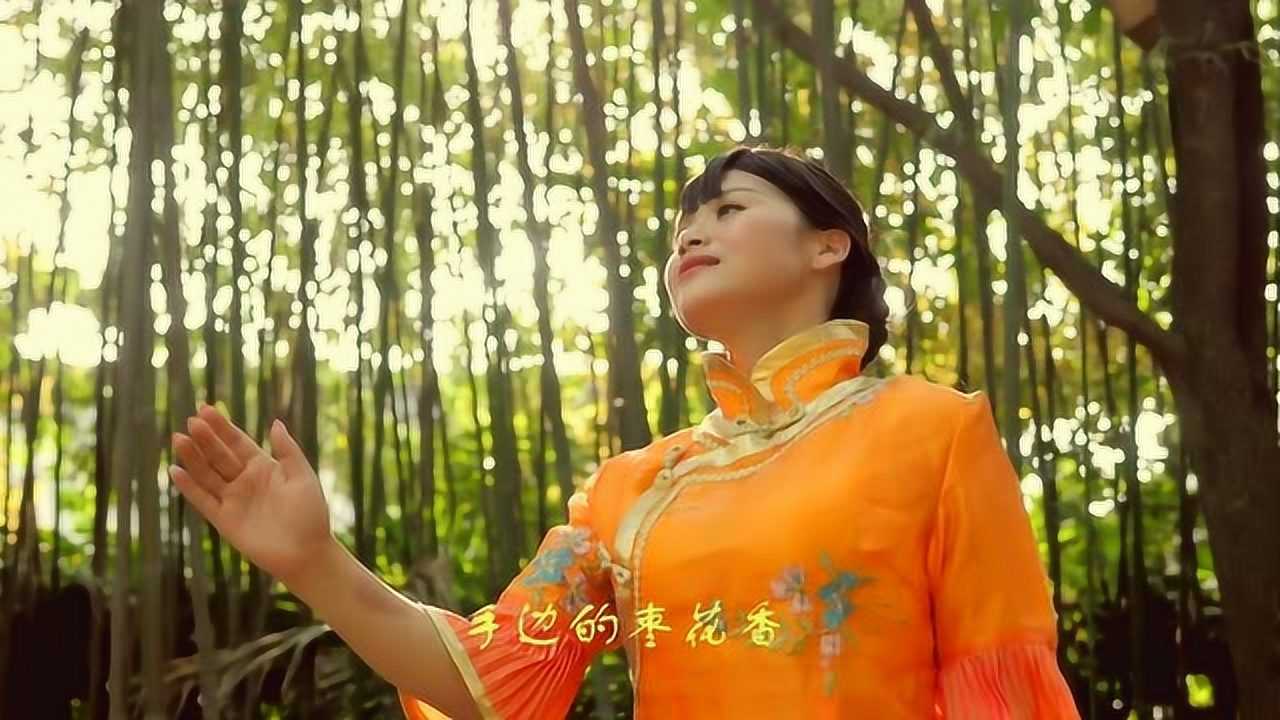 赵楠《九儿》超清mv