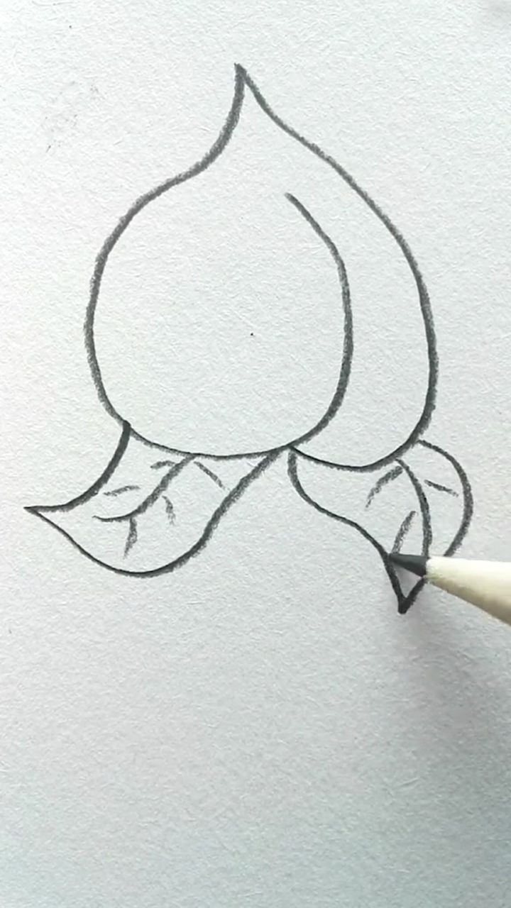 手绘, 一笔画桃子