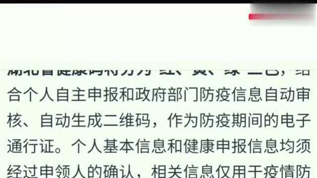 湖北近期推行一项返岗策略,申请“湖北健康码”可在省内持证上岗