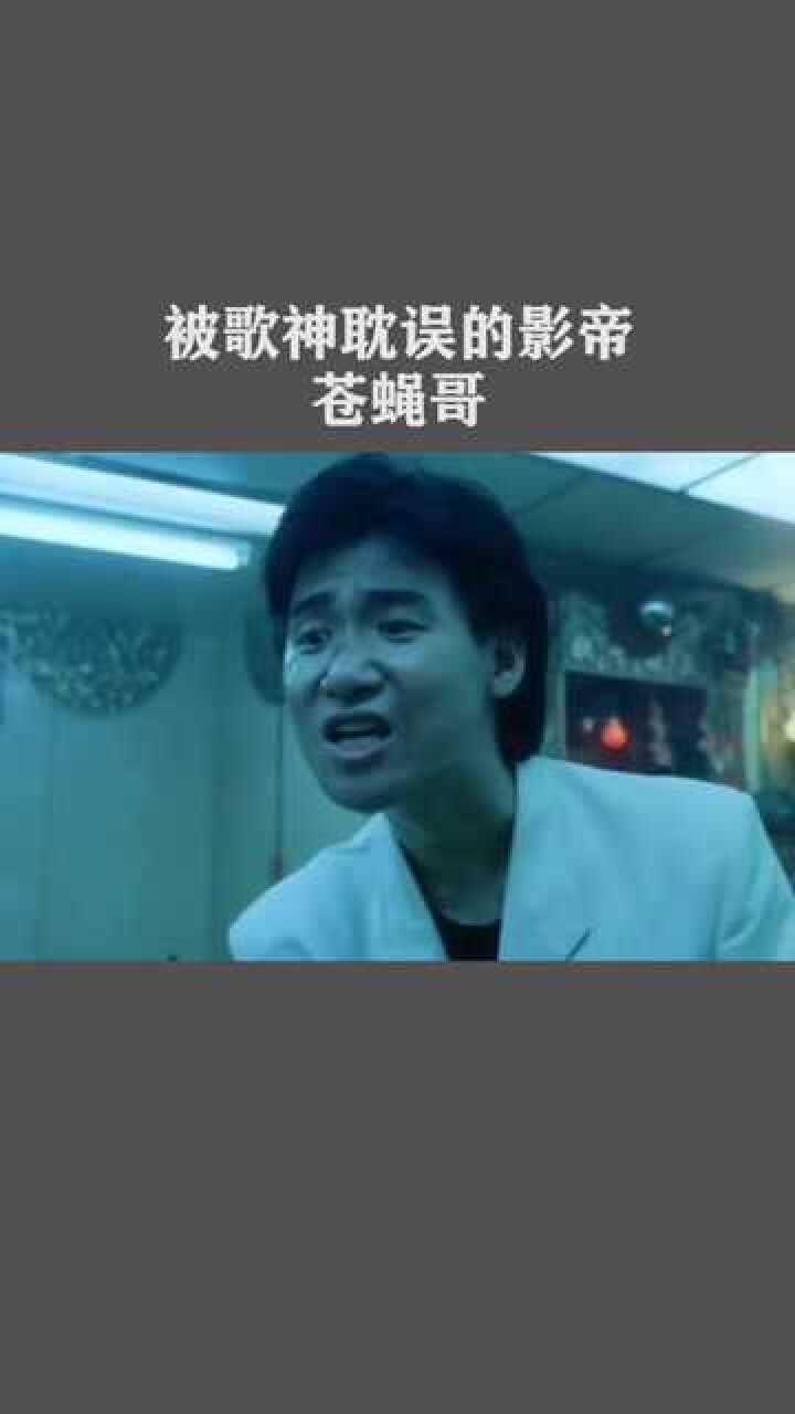 张学友经典苍蝇哥