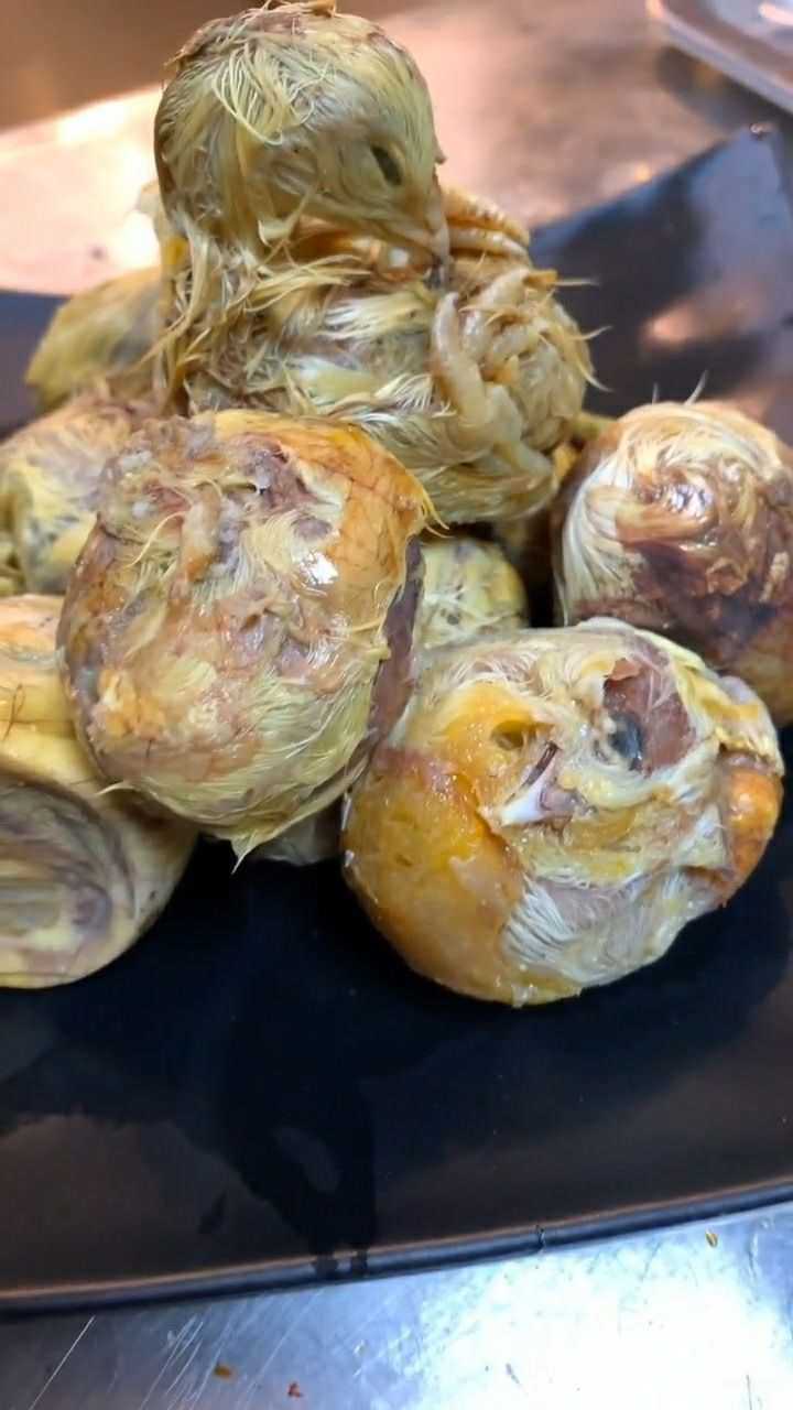 碳烤活珠子全程这是个好东西有没有想吃的