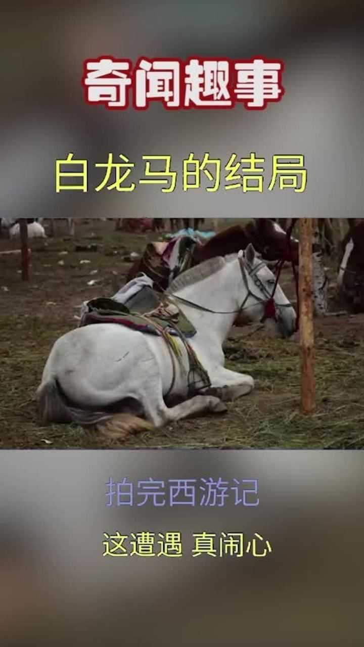 西游记里白龙马的结局