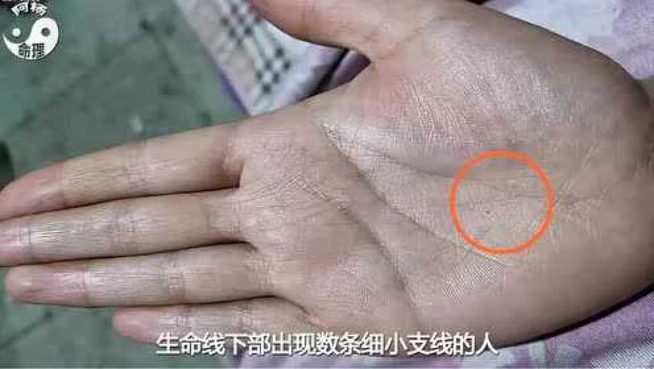 手相掌纹讲解_女手相图解：女生命线短但是边上还有一条，健康线与事业线区分_高清1080P在线观看平台_腾讯视频