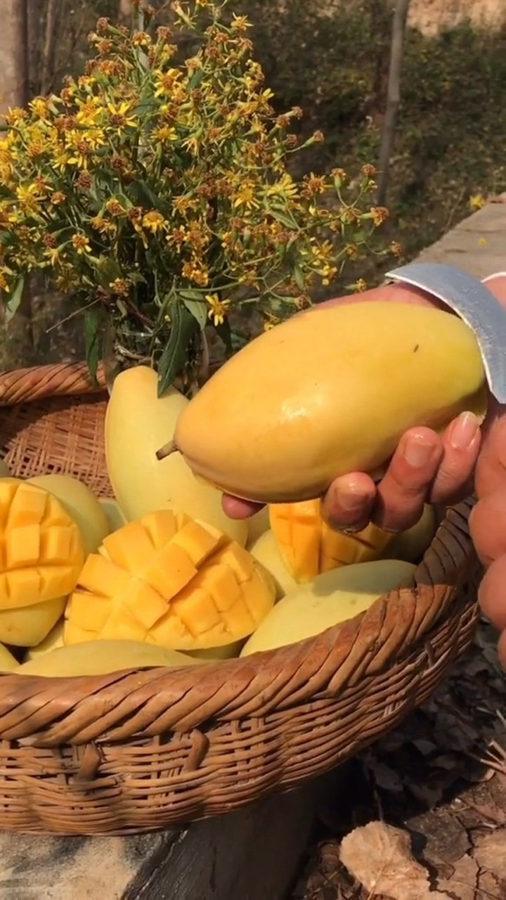 女人来姨妈不能吃芒果