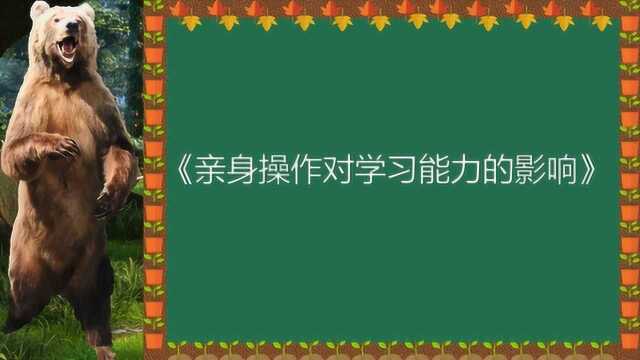 给孩子一个有规划的游戏空间,也是父母与老师们很重要的功课!