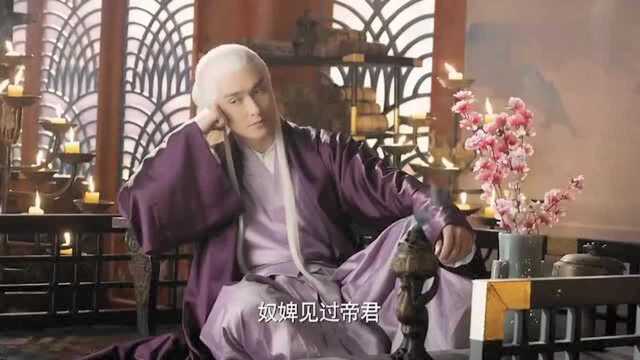 三生三世十里桃花:凤九被帝君召见,看到正脸,怎么这表情?