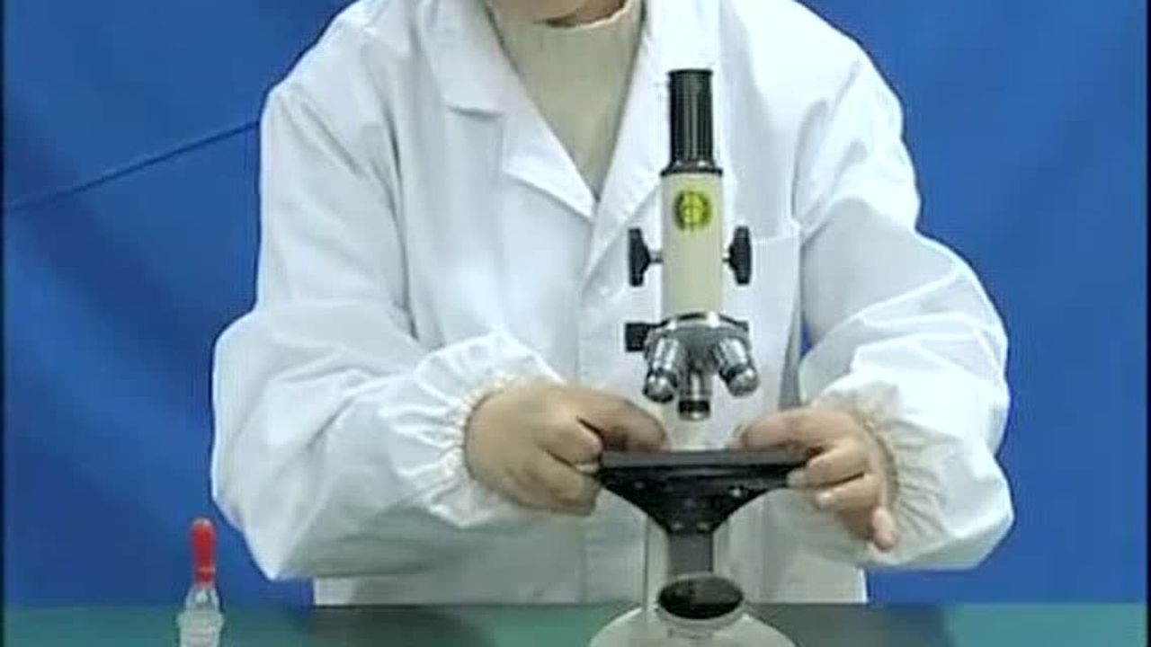 初中生物实验微课：观察酵母菌_高清