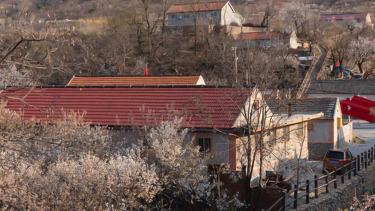 实拍北方农村,看看青岛上沟村怎么样