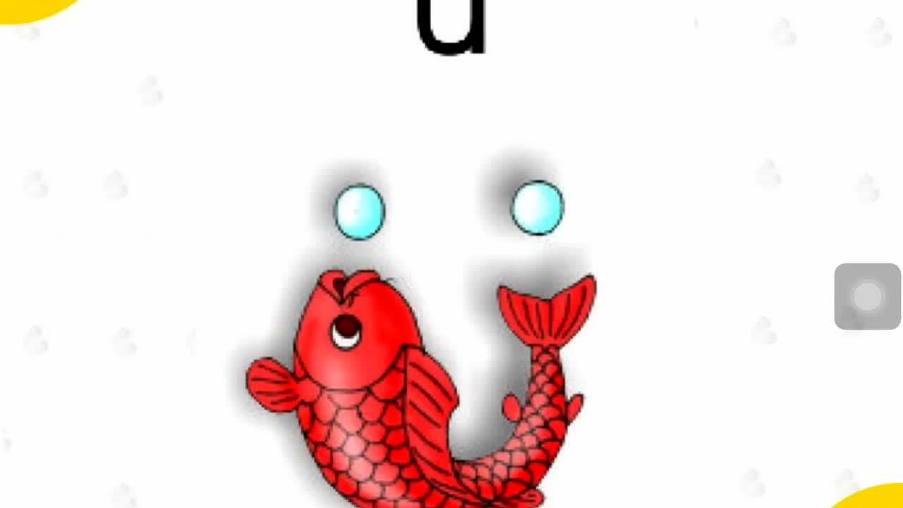 启明星幼小衔接直映拼音第一课