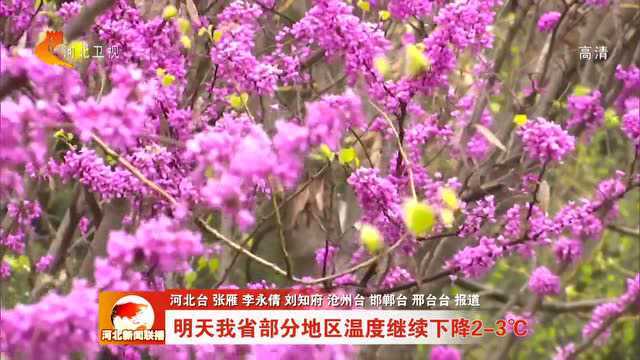 明天河北部分地区温度继续下降23℃