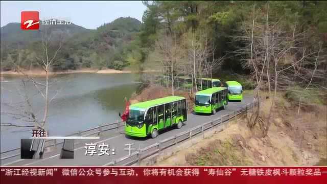 淳安:千岛湖旅游复苏按下“加速键”