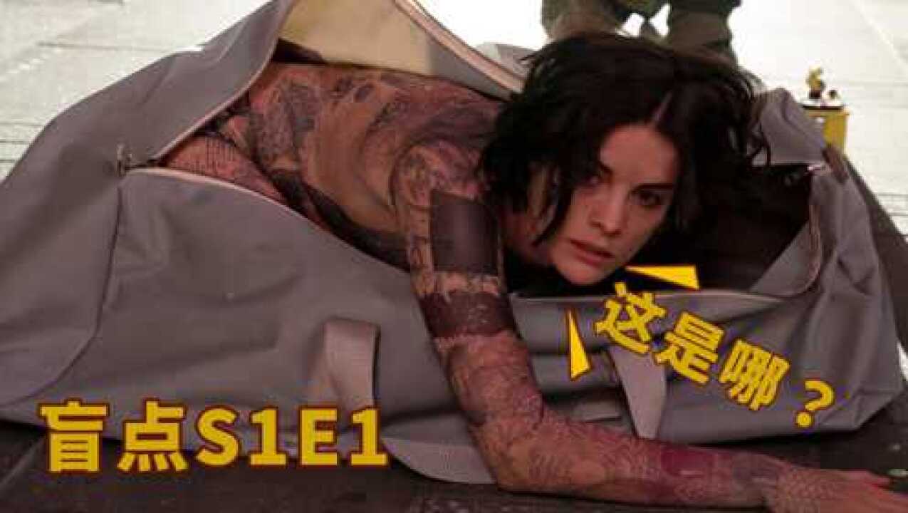 盲点1-1，神秘女子被装进包里，失去记忆，全身纹身！_高清