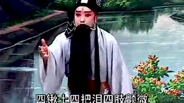 河南经典曲剧《郭巨埋儿》手拿着三尺锹心痛如焚 为娘行大孝埋我儿身