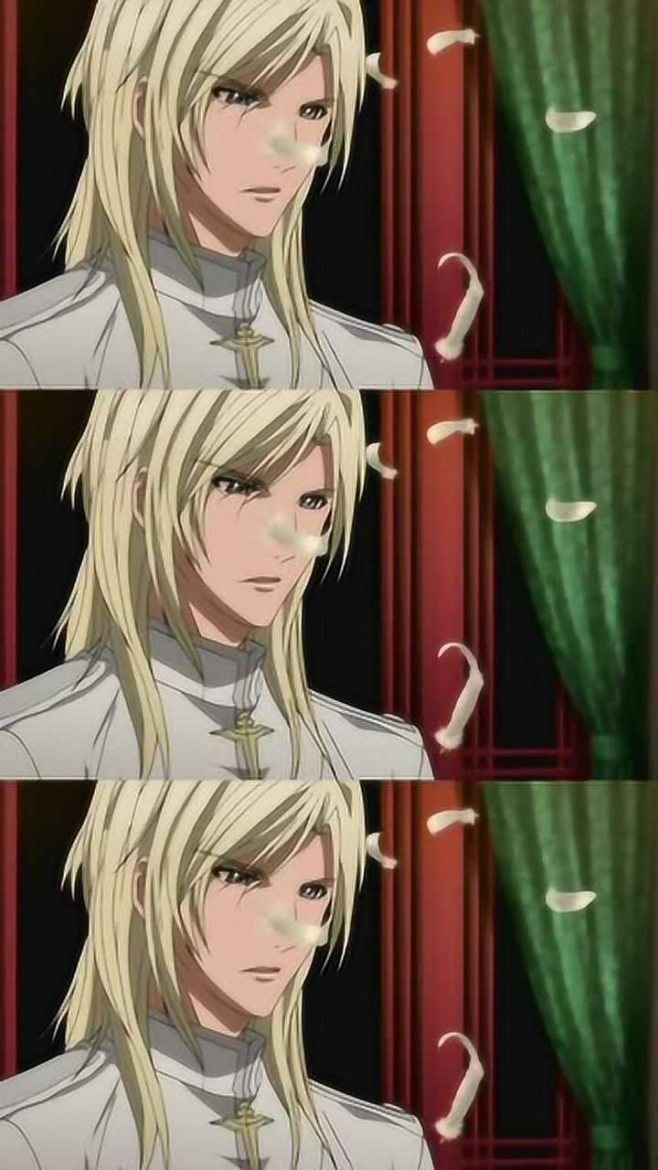 八犬传这俩兄弟真的是绝世美人