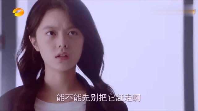 初恋小事:淼淼居然给狗取这么个名字,这狗粮撒的