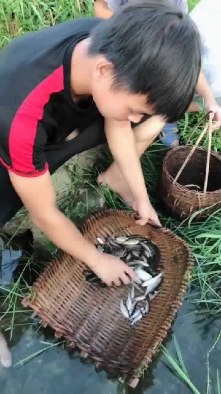 农村浪人下水抓小鱼仔