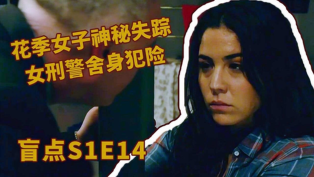 美剧《盲点》1-14，花季女子神秘失踪，女刑警舍身犯险！_高清