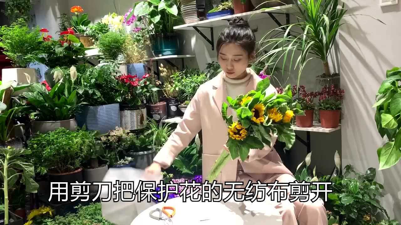 向日葵醒花教程
