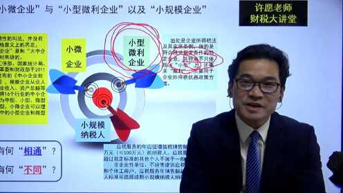 许愿老师的《小规模（小微）企业最新税收优惠政策解析与把握暨节