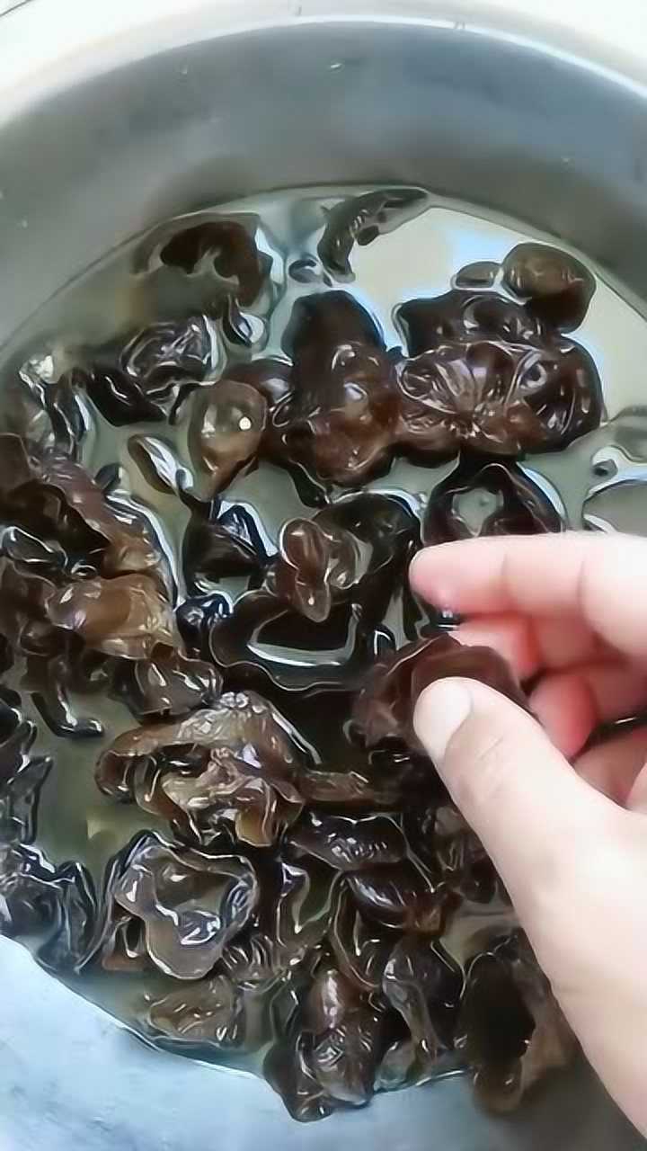 泡木耳正确方法,用凉水再放点面粉可以去除泥沙!