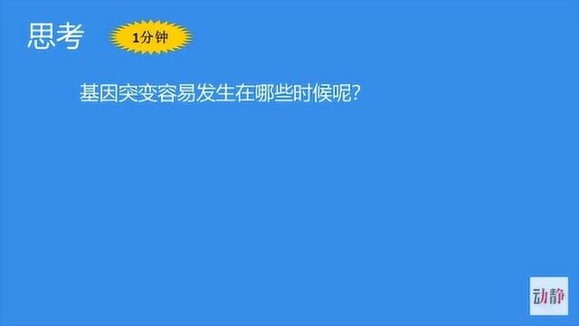 0424004高一年级生物基因突变及其他变异基因突变和基因重组