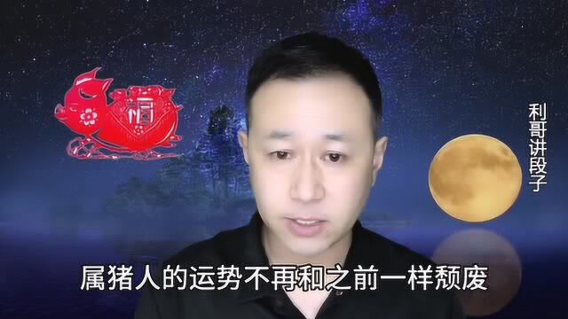 属牛属猪的人,下半年会财源滚滚,富贵盈门