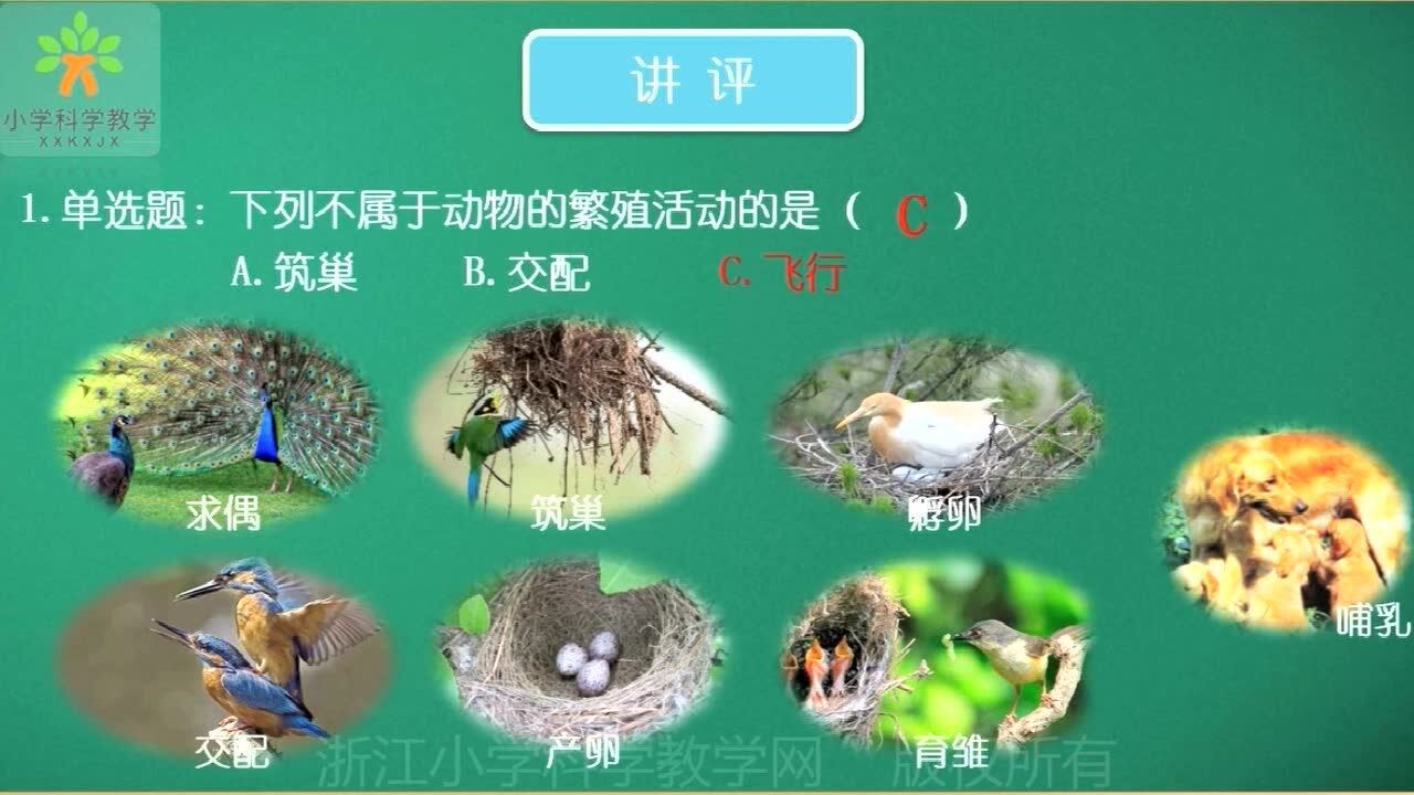 4下 2-7《动物的繁殖活动》