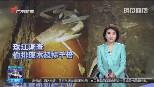 珠江调查 东莞清溪:无证作坊偷排有毒废水 超标1000倍