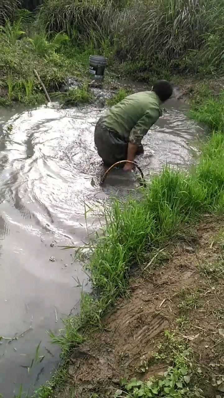 池塘邊抓魚好過癮