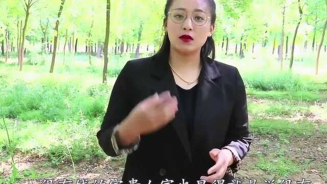 俗语“男人无毛贵似金,女人有毛混半街”什么意思?一起看看吧