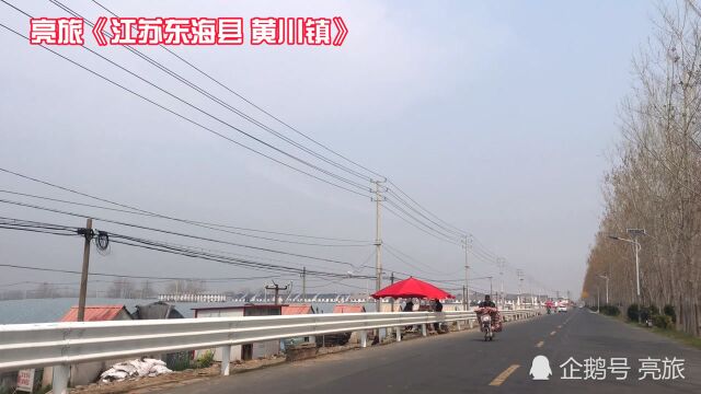 江苏连云港最大的草莓基地,东海县黄川实拍