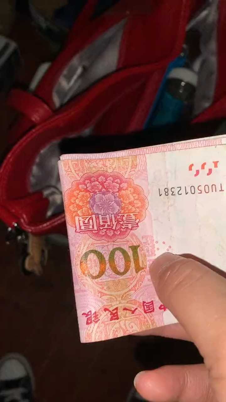 不知母亲为何母亲坐火车连夜来看我给妈妈偷偷塞了两百块钱回去车费和