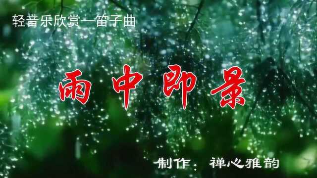 笛子演奏刘文正的经典曲目《雨中即景》,熟悉的旋律满是回忆!